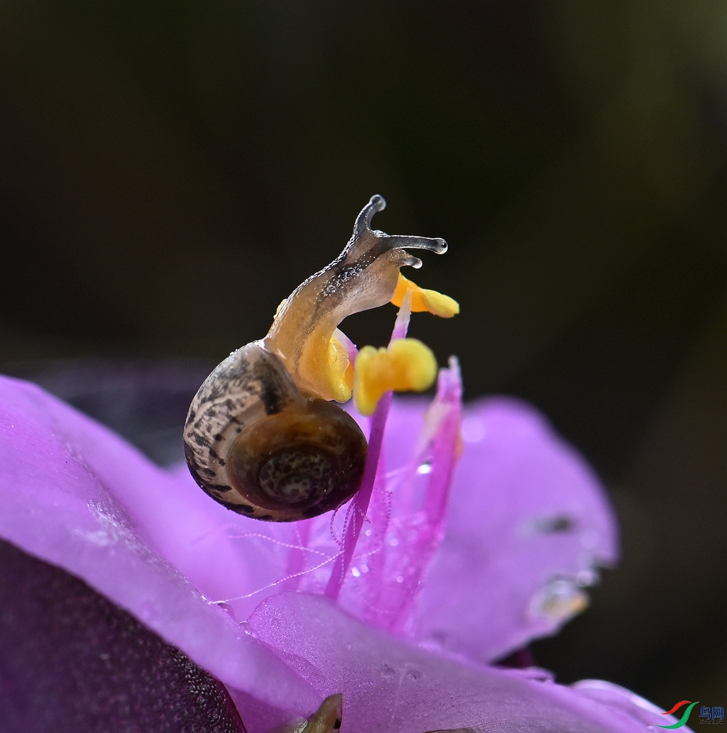 DSC_1468_����.jpg