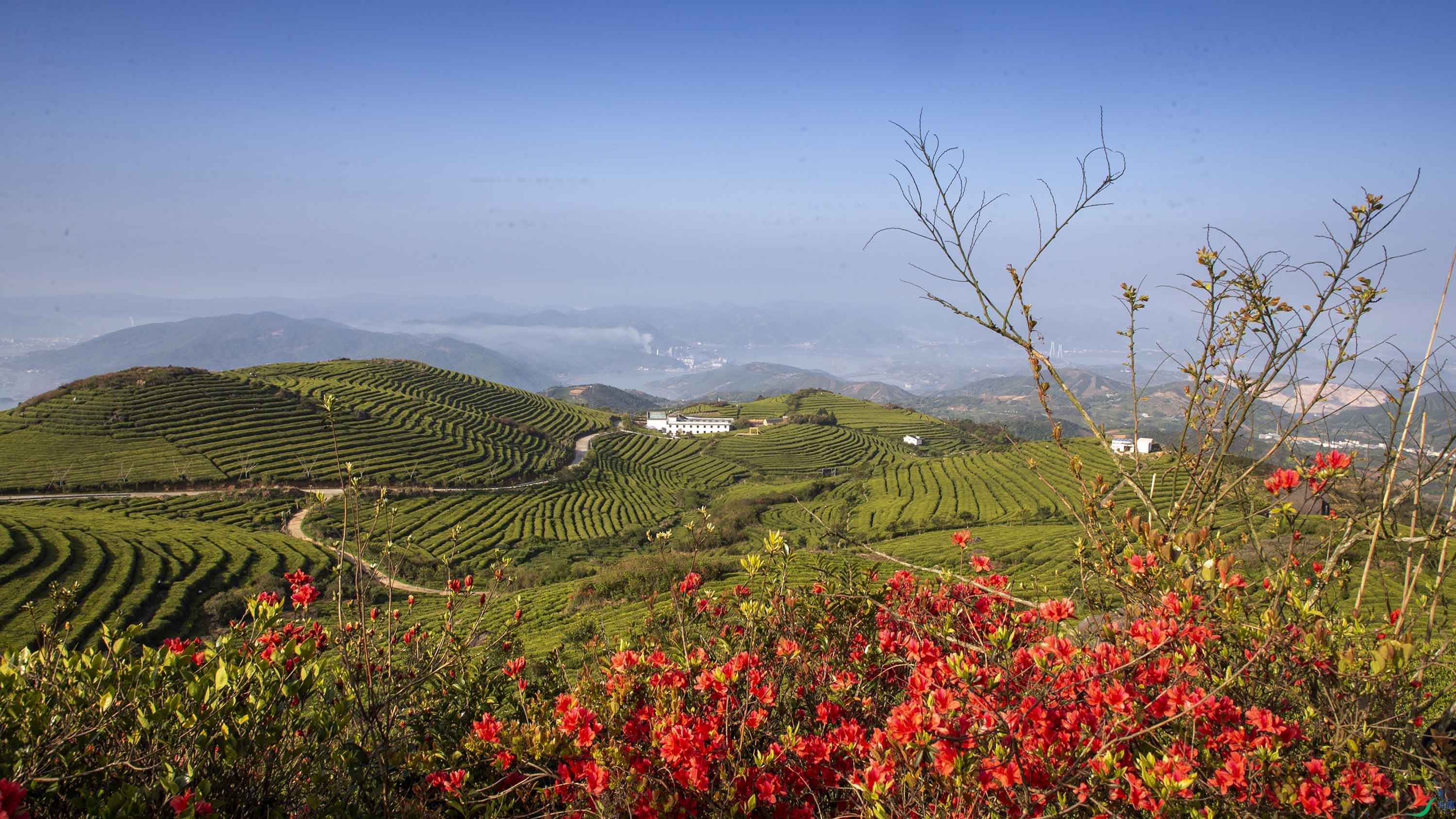 BR9W9994 ���� 2.jpg