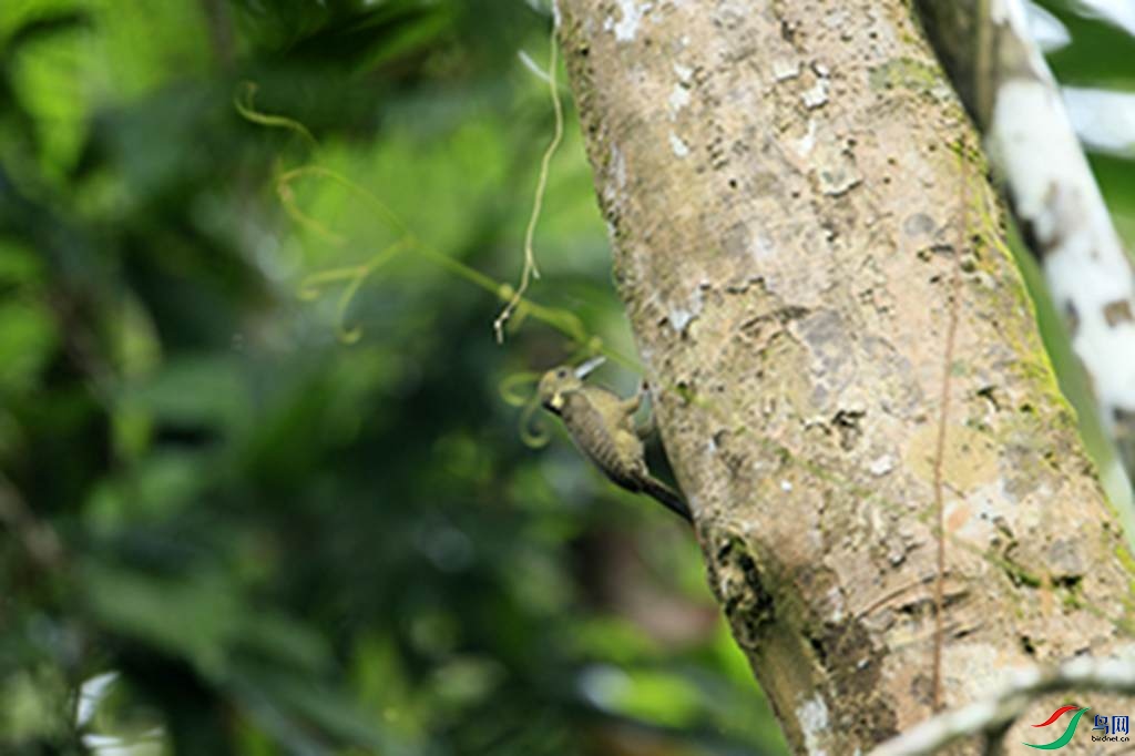 144.jpg