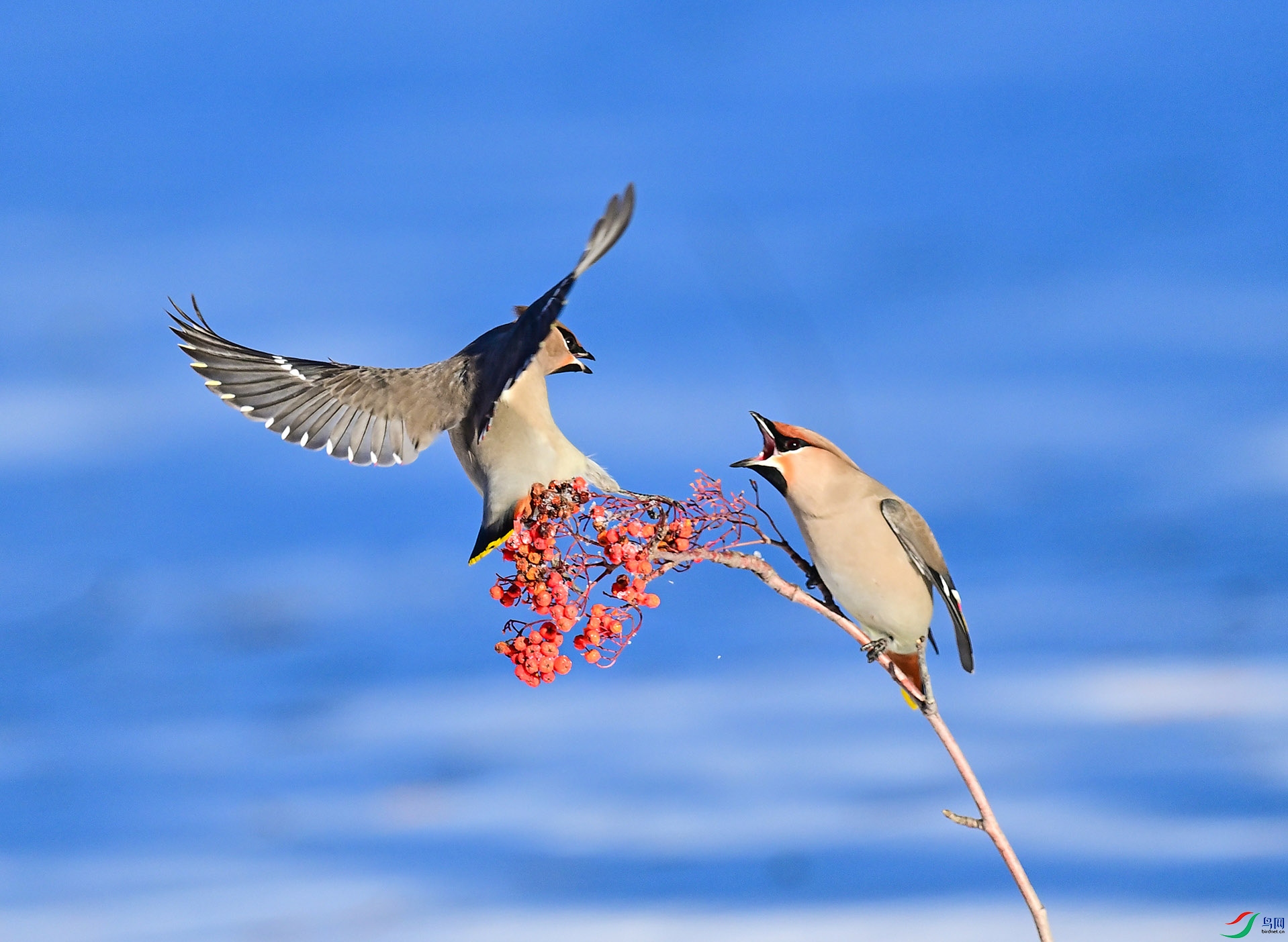 ��ʳչ��̫ƽ��