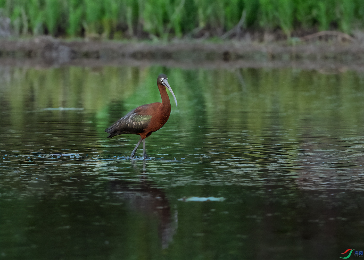DSC_1014-2.jpg