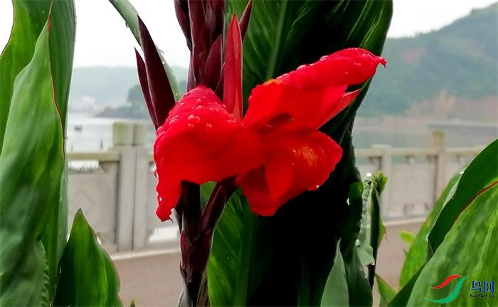 ΢��ͼƬ_20220528171101 - ����.jpg