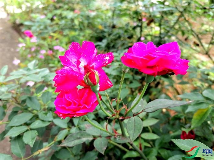 ΢��ͼƬ_20220528171357 - ����.jpg