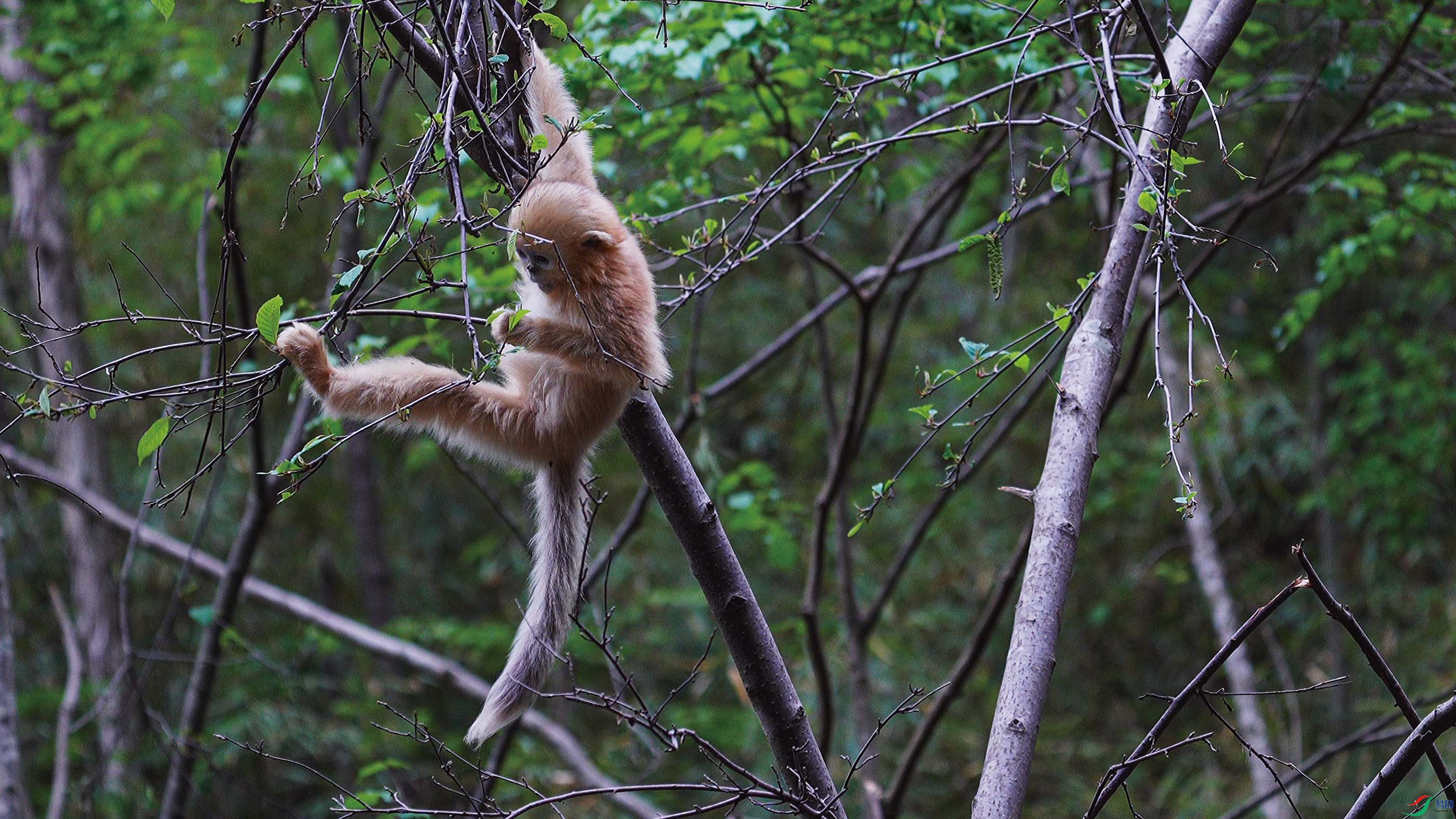 �ֽŲ��ã�����С��