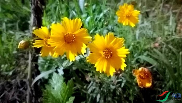 ΢��ͼƬ_20220529163617 - ����.jpg