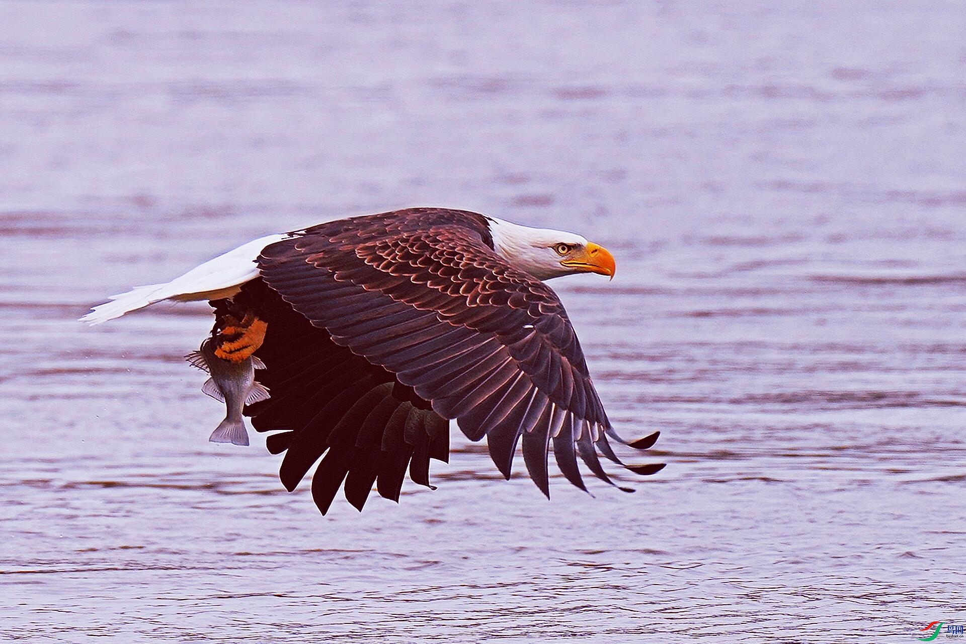 070931oxh22xh5txqcdpzn.jpg