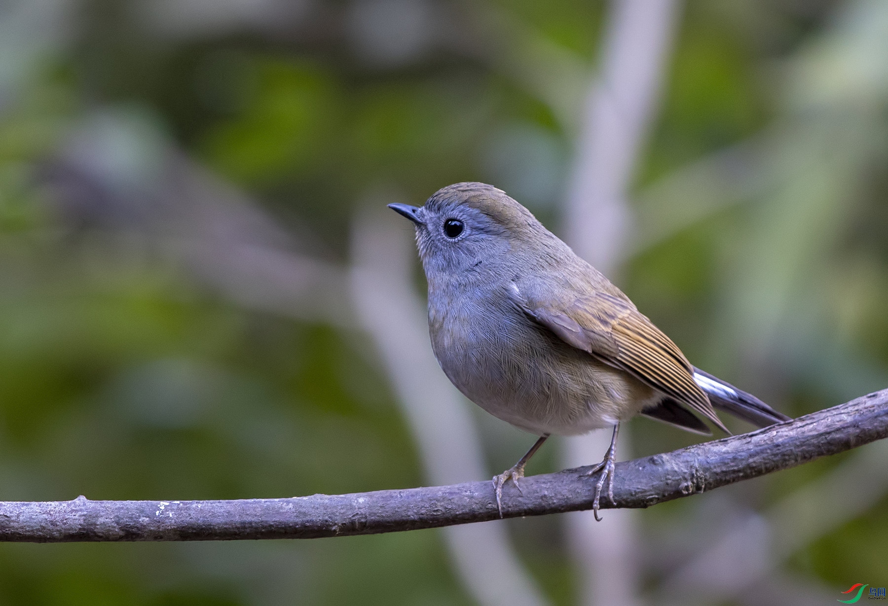DSC_4157.jpg