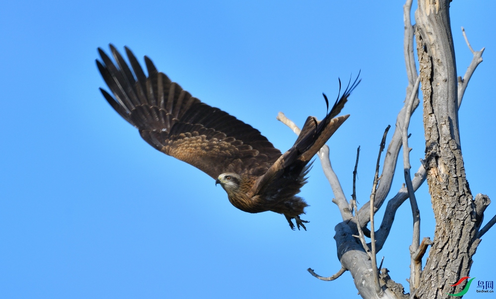 DSC_3343.JPG