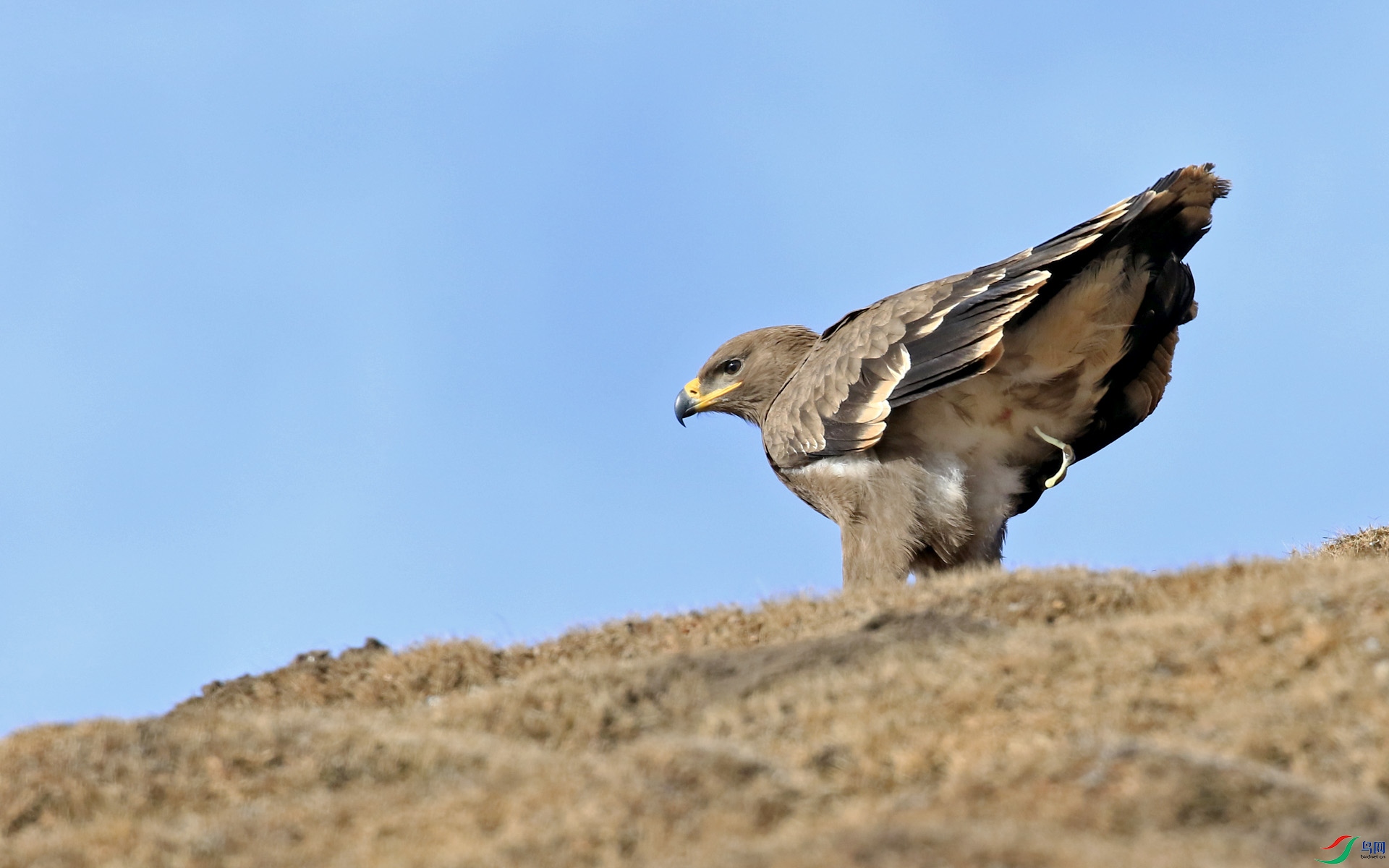 DDJX6939-1.jpg
