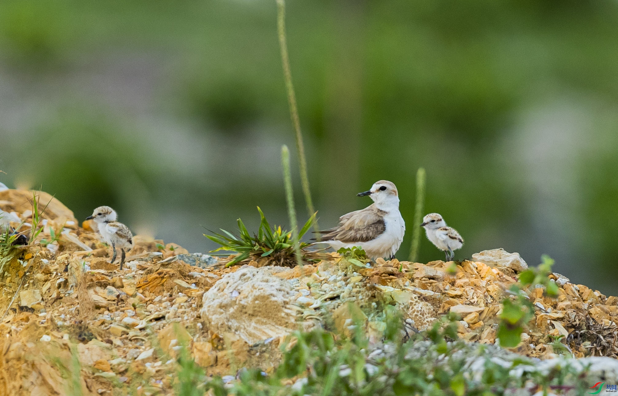 AE8I0099 ����-1.jpg