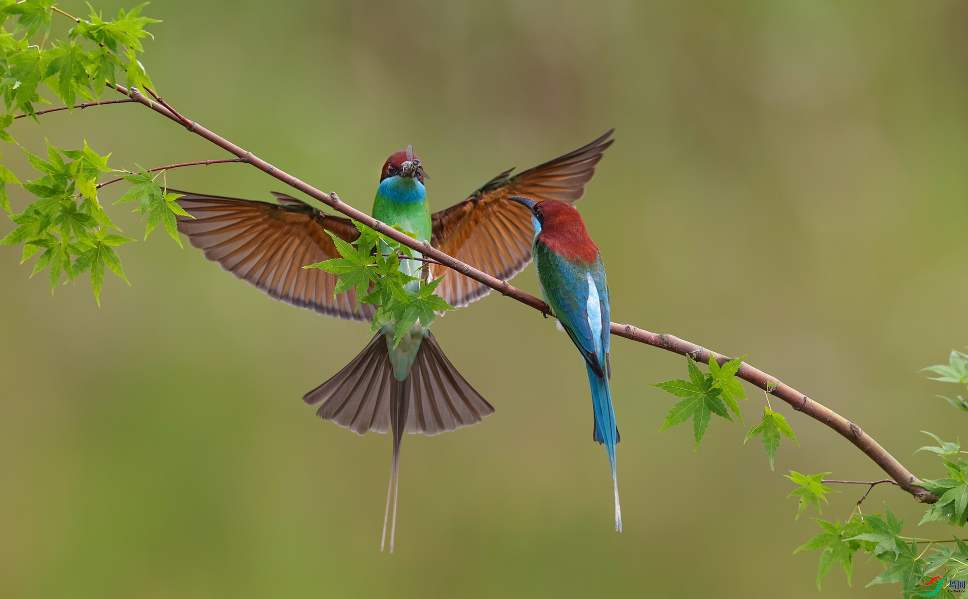 ����083A5257.jpg