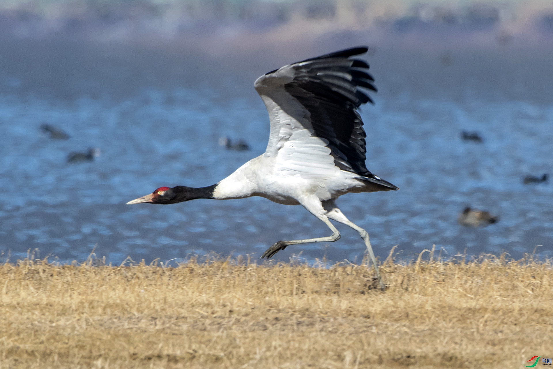 DSC_0425.jpg