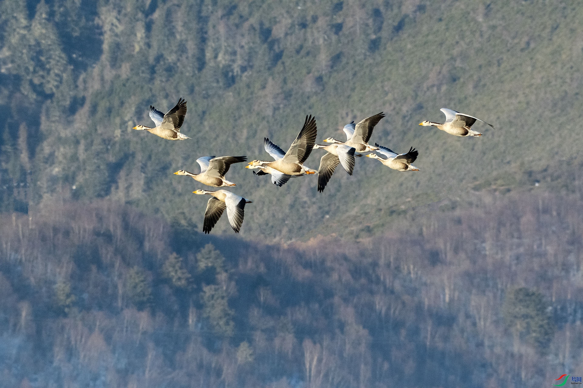 DSC_6562.jpg