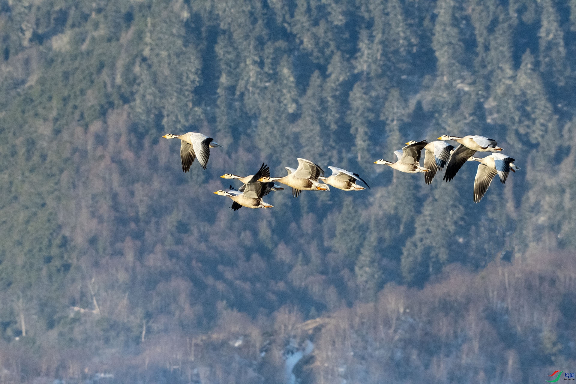 DSC_6565.jpg