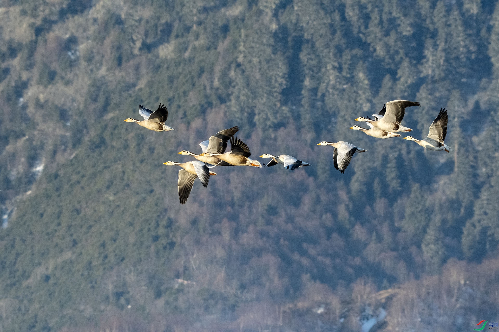 DSC_6566.jpg