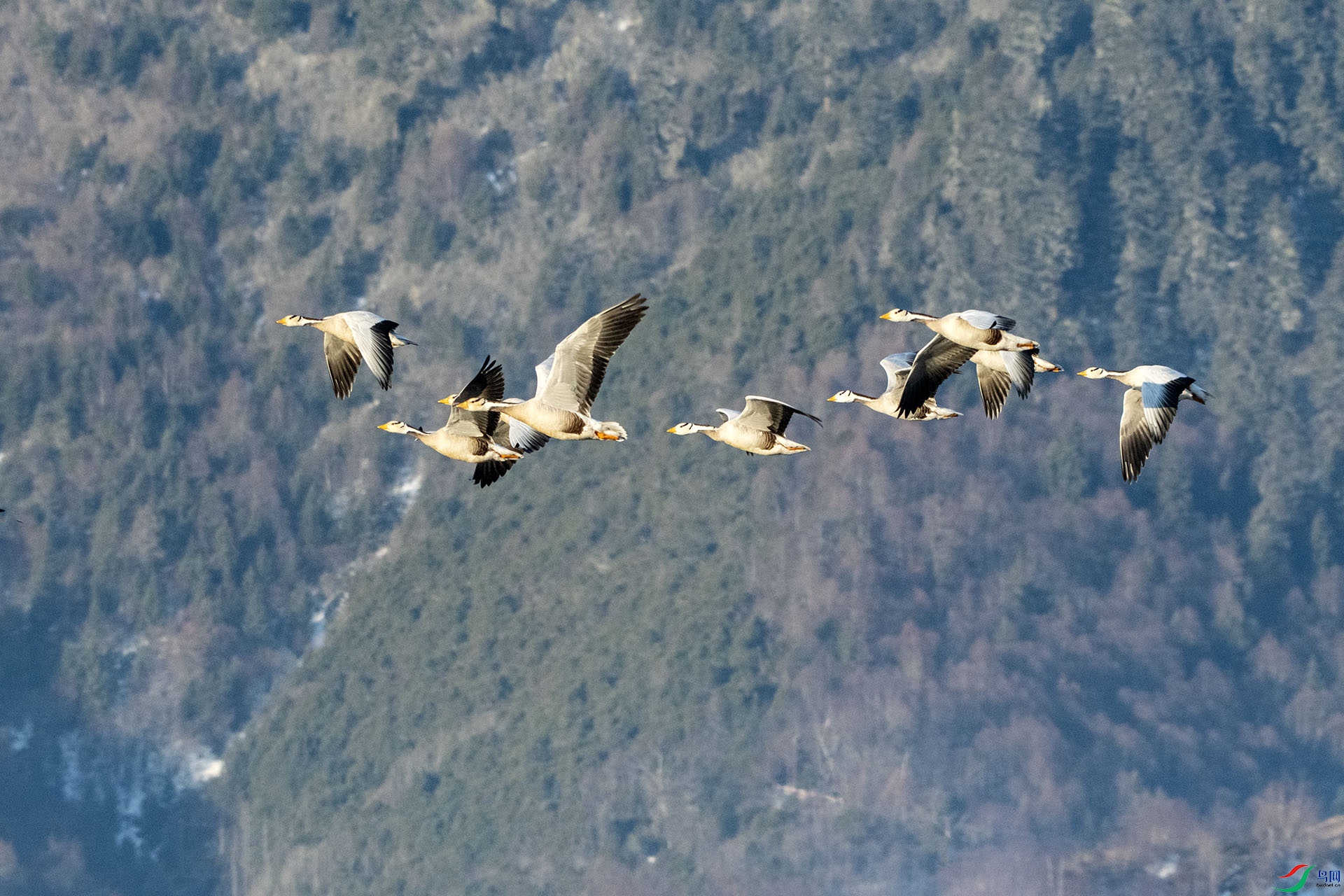 DSC_6567.jpg