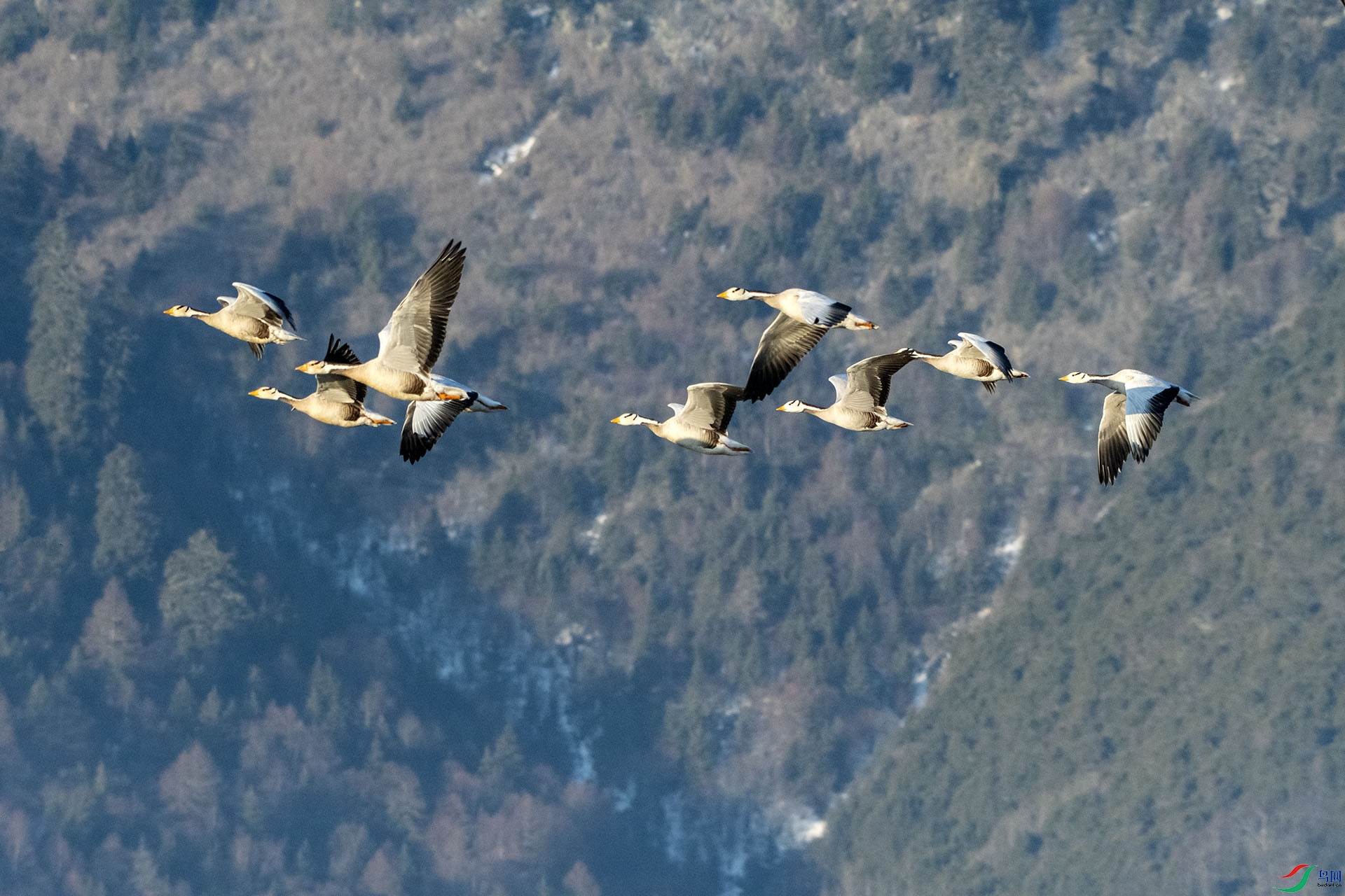 DSC_6569.jpg