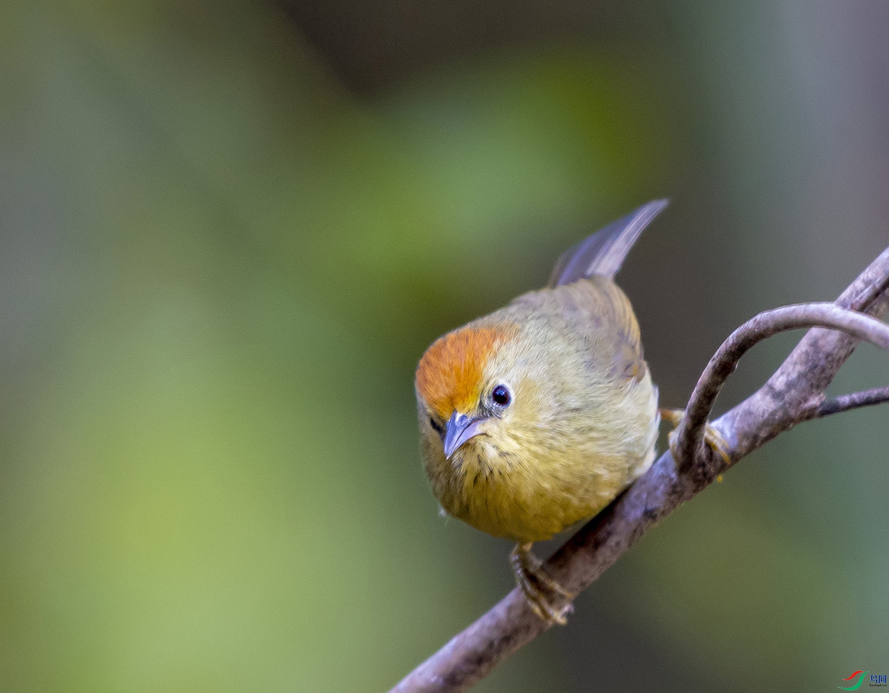 DSC_4186.jpg