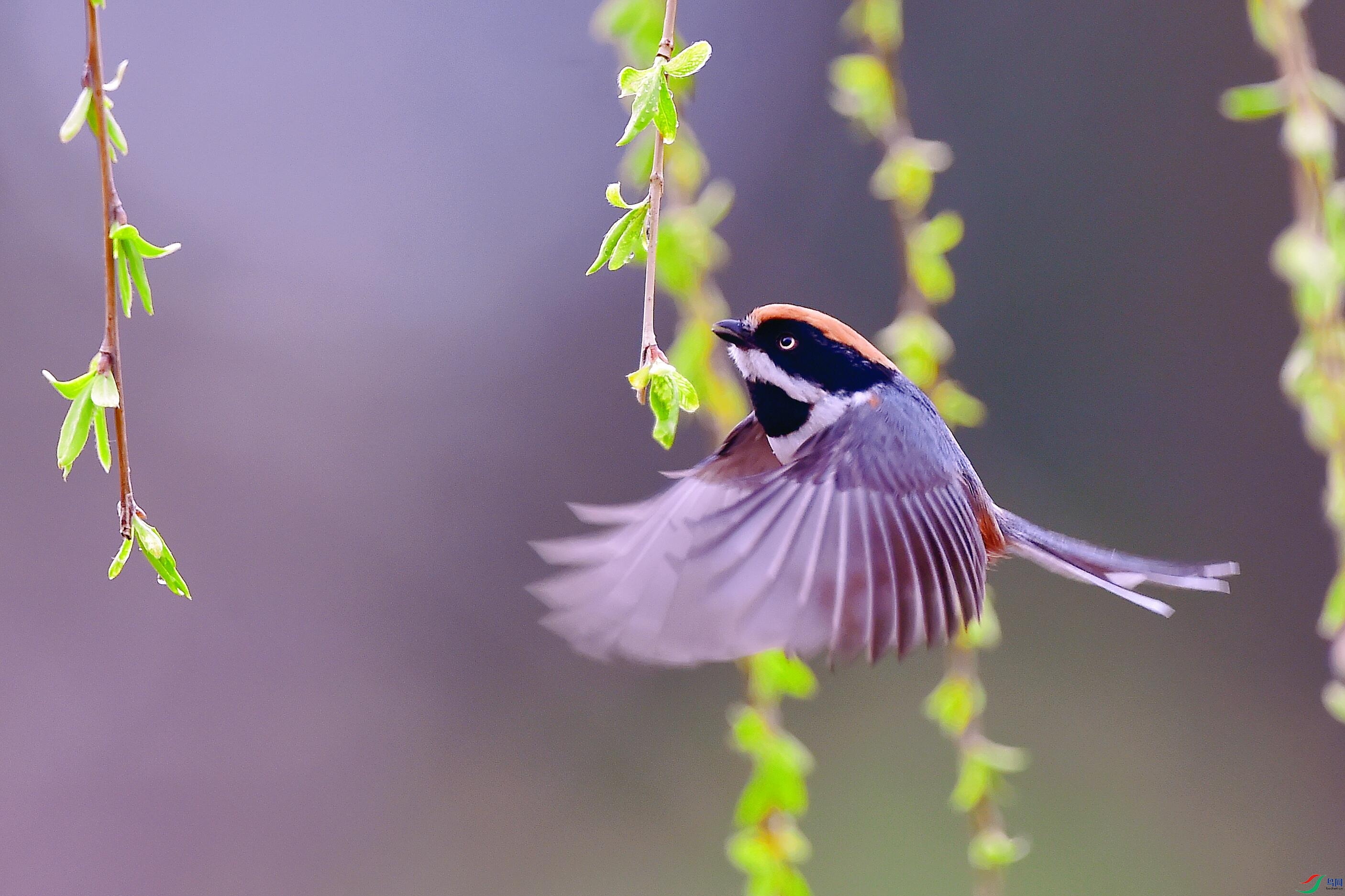 _DSC7502_����.jpg