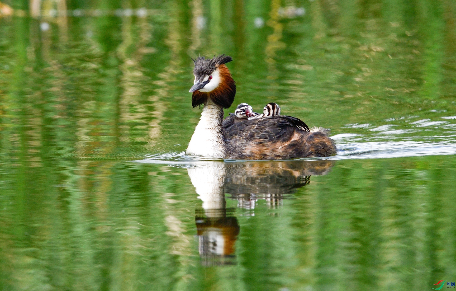 _DSC8498_����.jpg