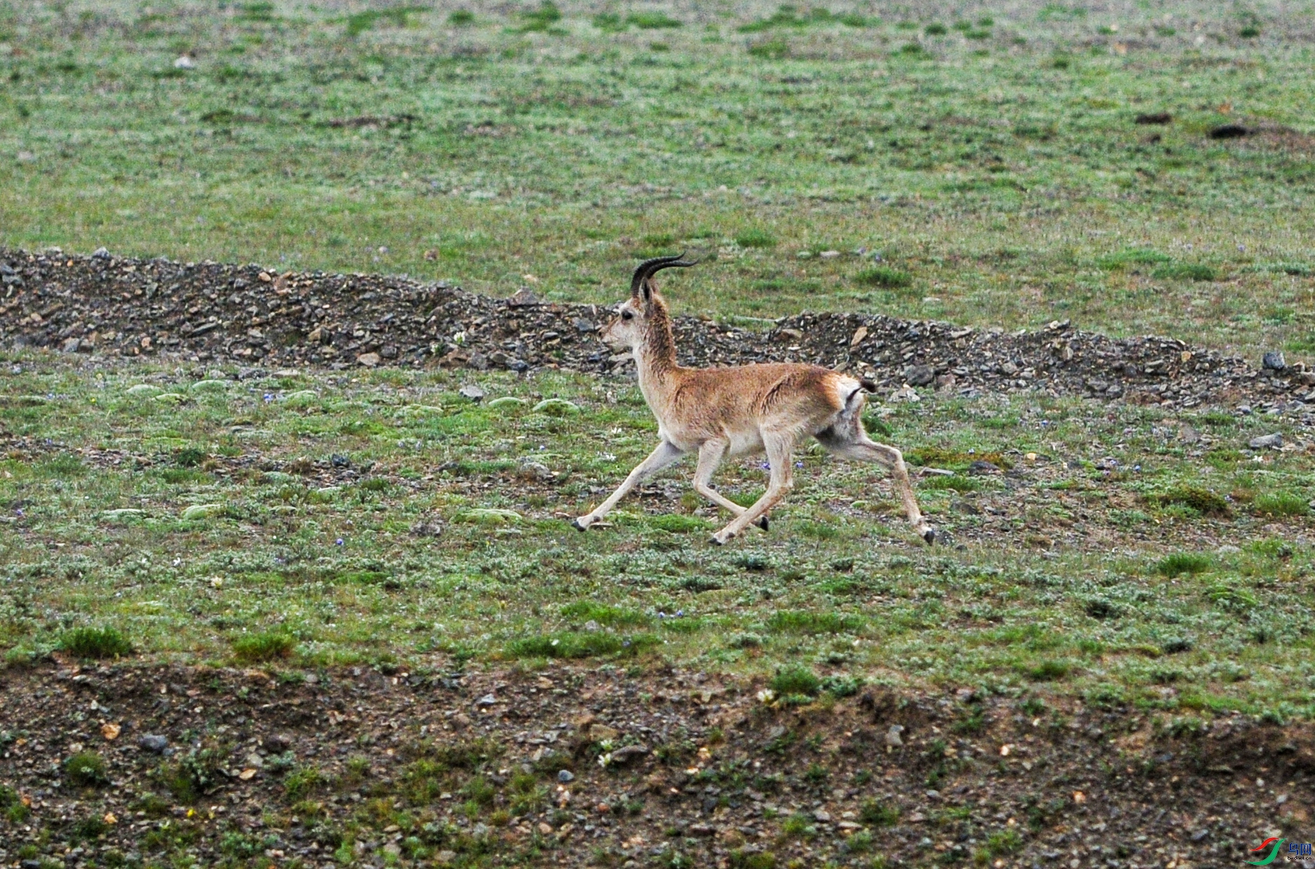 DSC_7570f.jpg