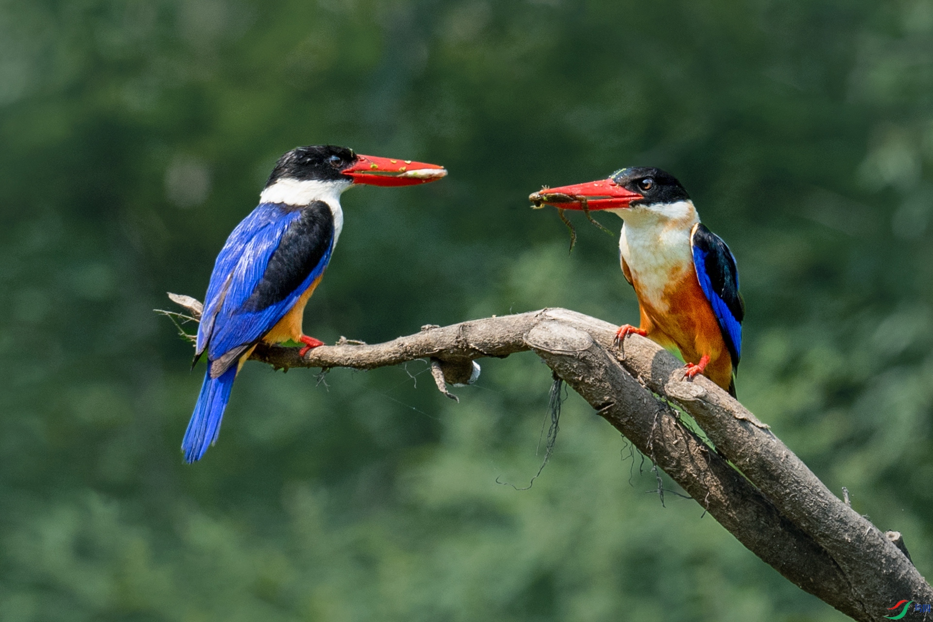 �����_DSC9050.jpg