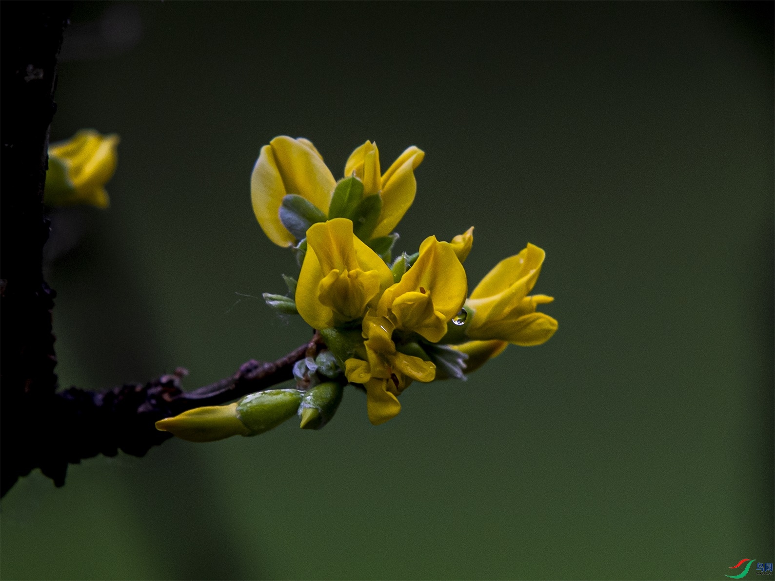 031 ����1.jpg