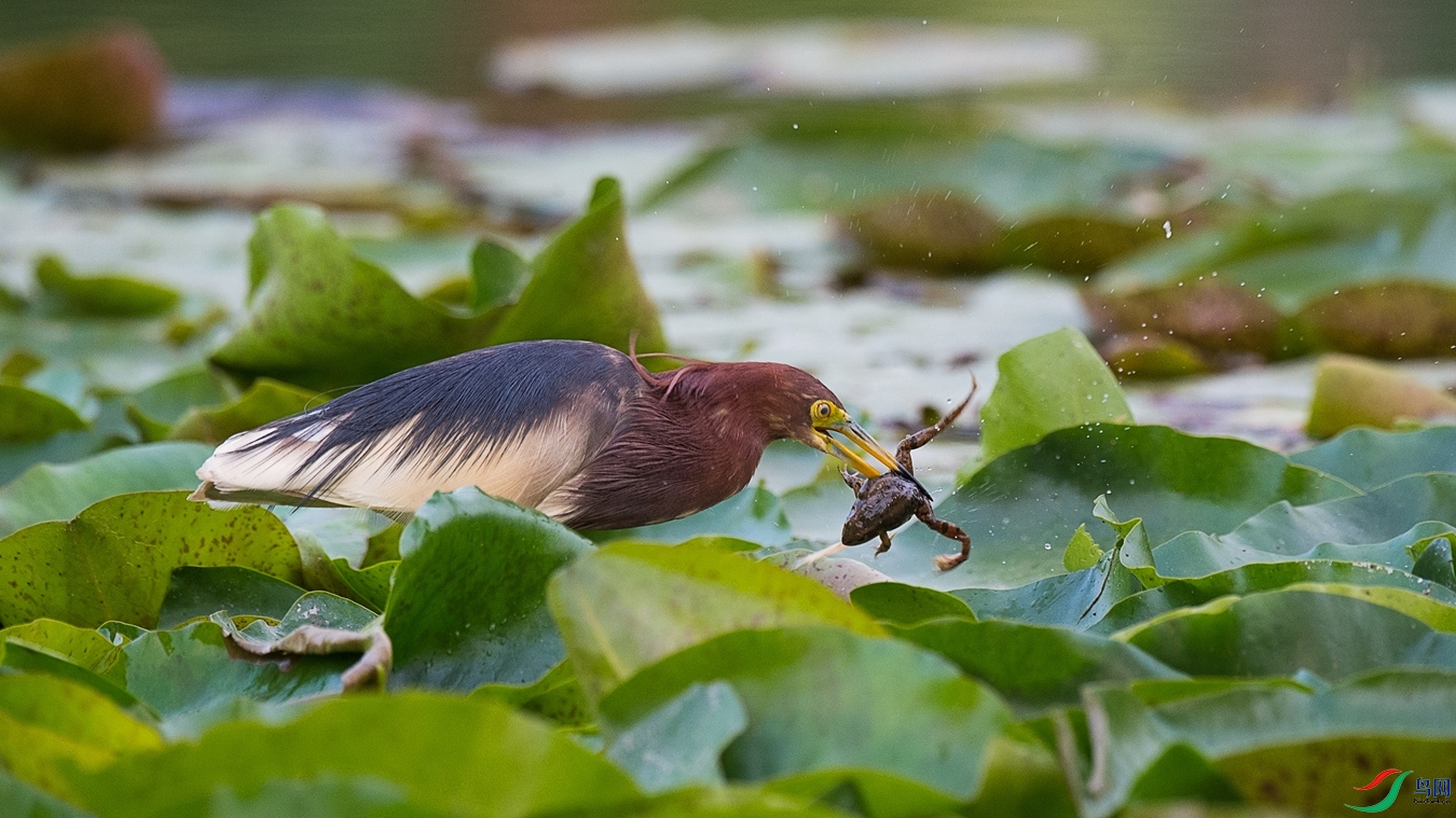 DSC_5069 - ����.jpg