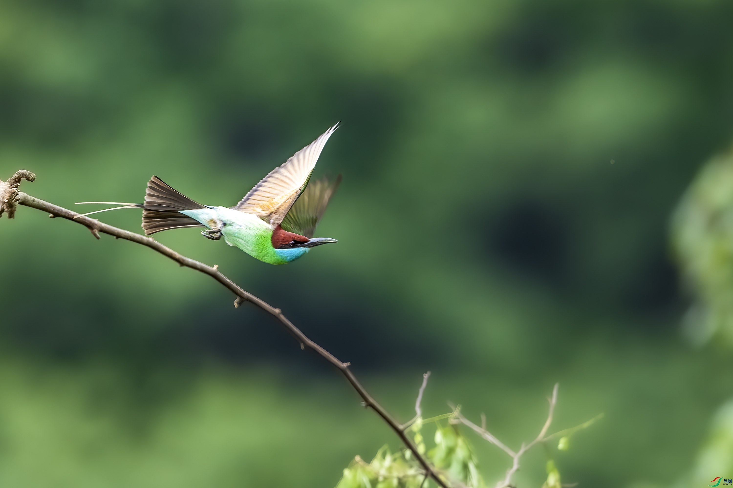 DSC_2093.jpg