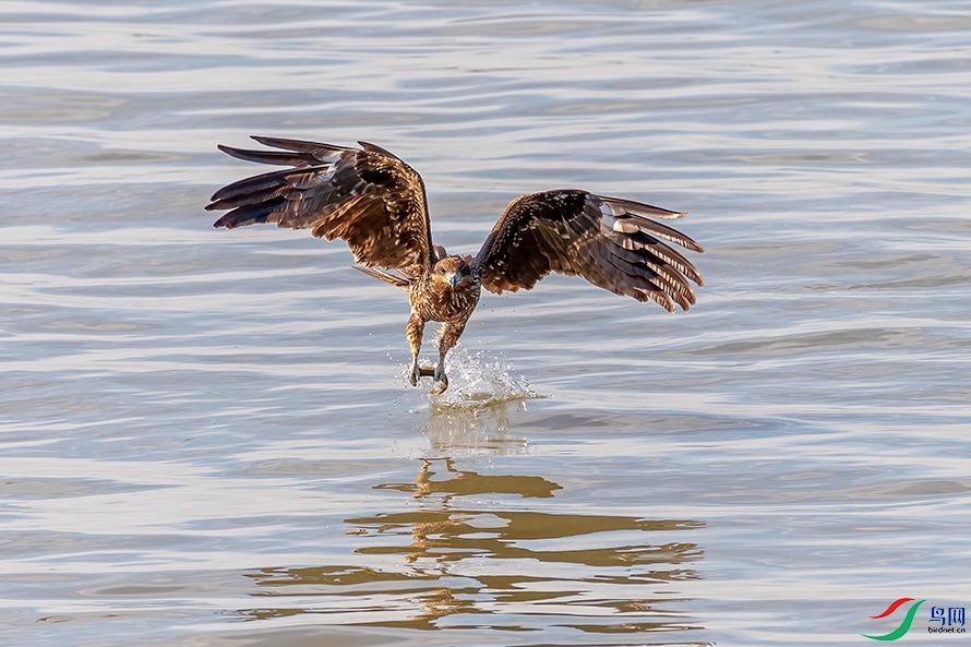 DSC_4862-2ABCD.jpg