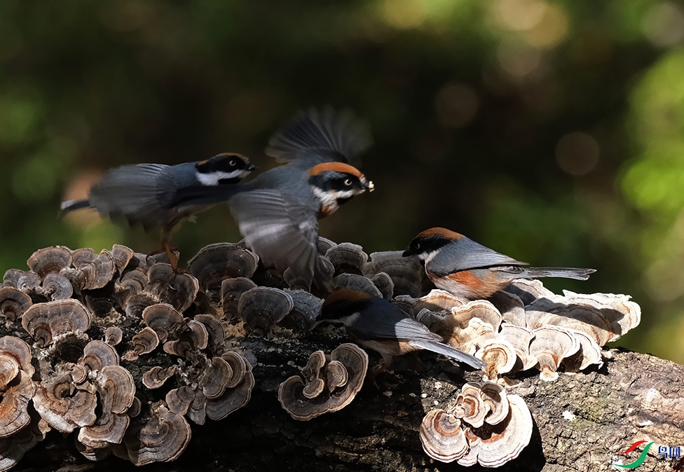 DSCF5317.1.jpg