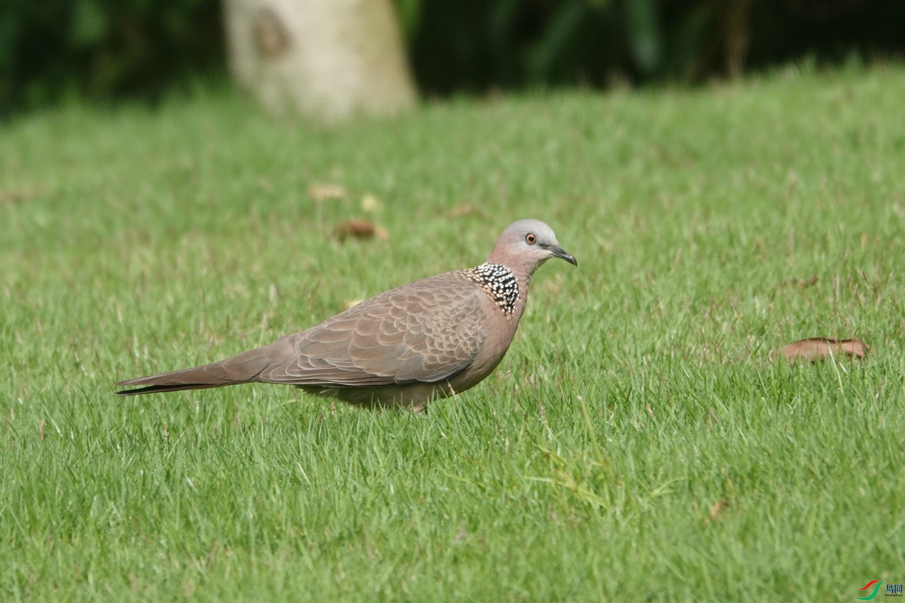 220531 (10)_����.jpg