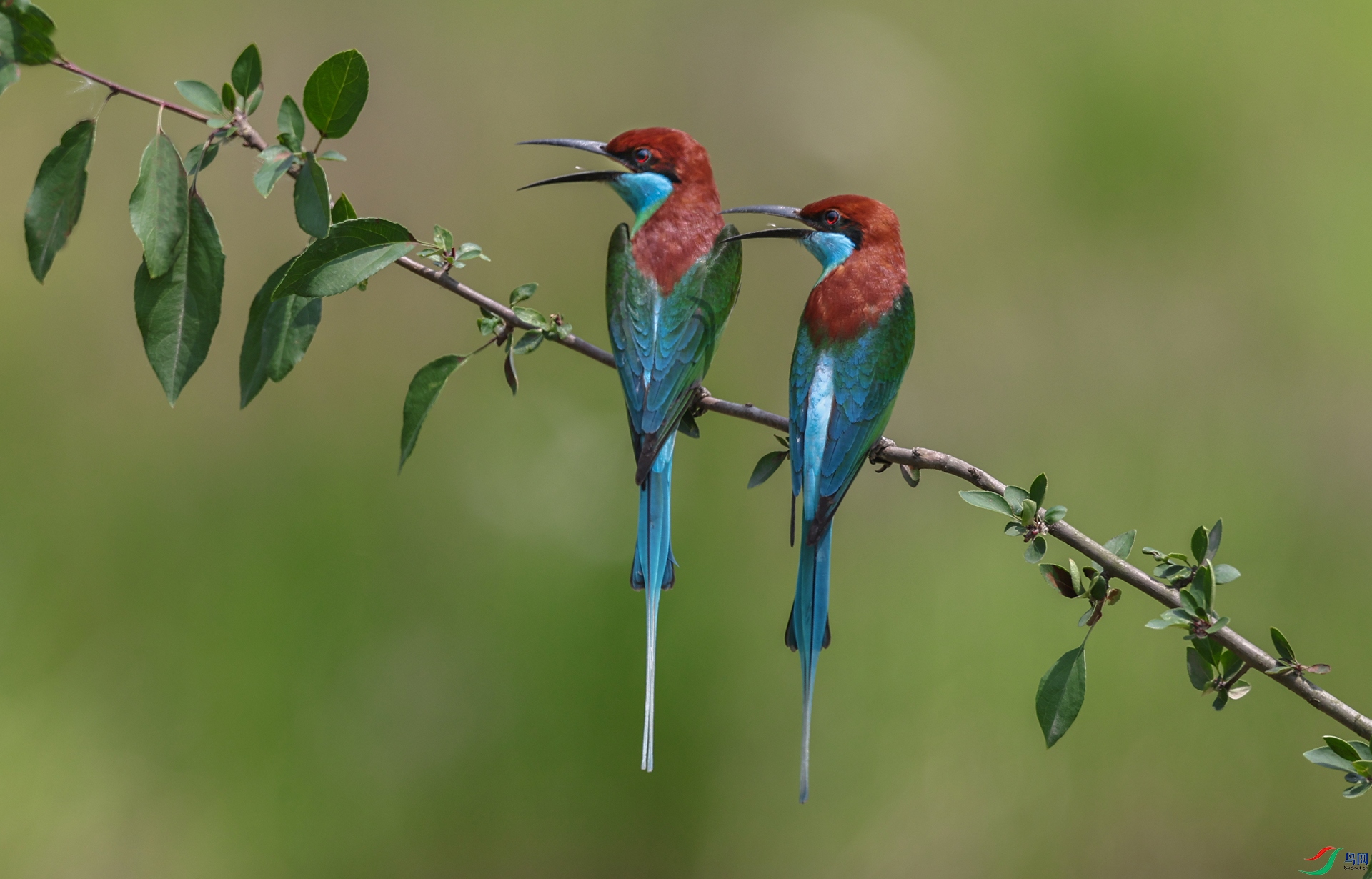 ����083A6814.jpg