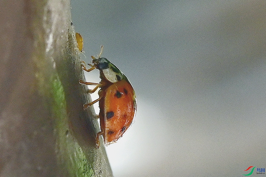 CFH_2437_����.jpg