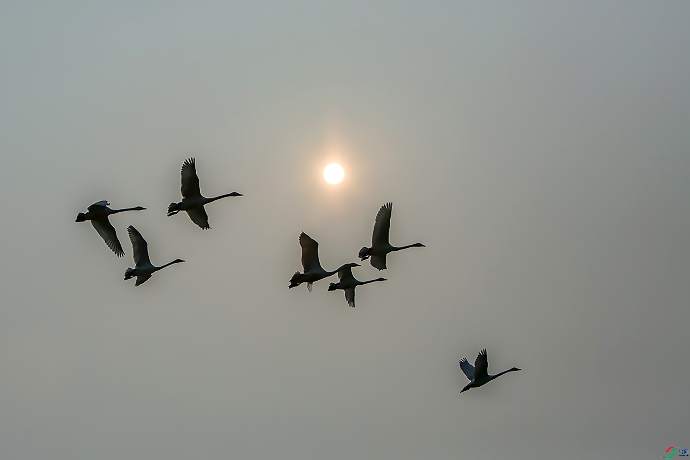 _10A6900.jpg