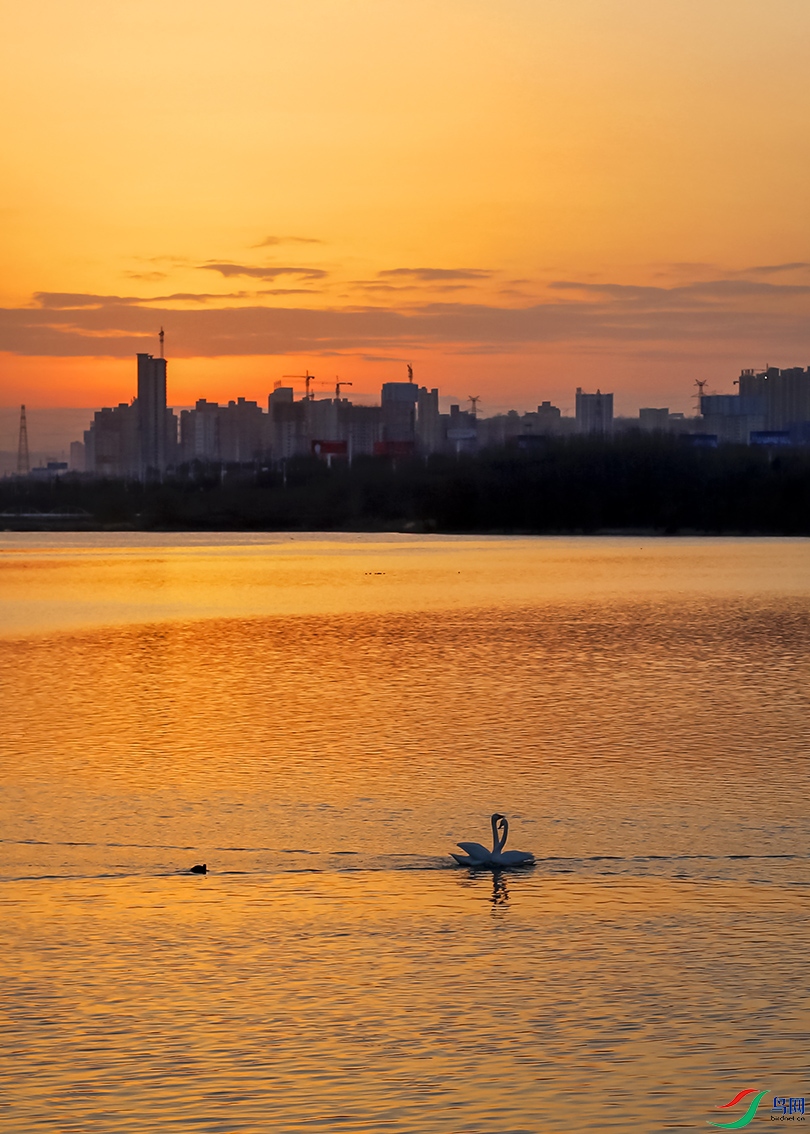 _10A5908.jpg