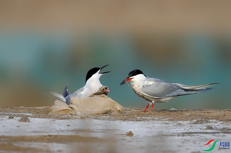 Mix_201243.jpg