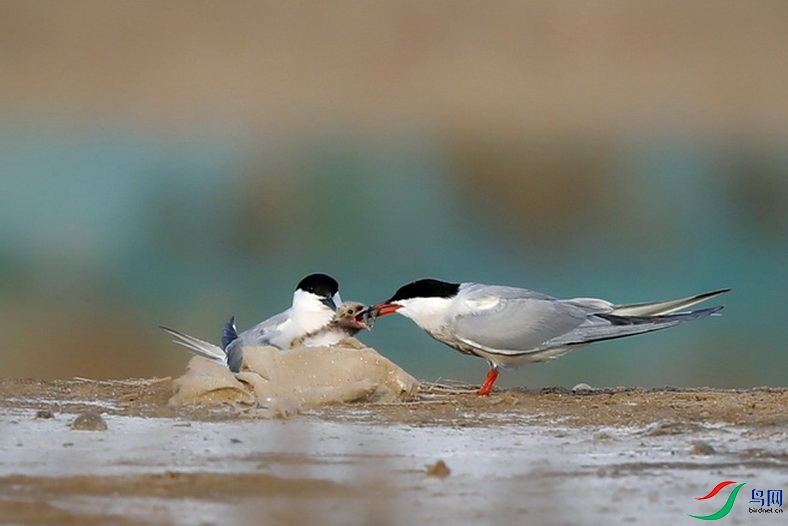 Mix_201231.jpg