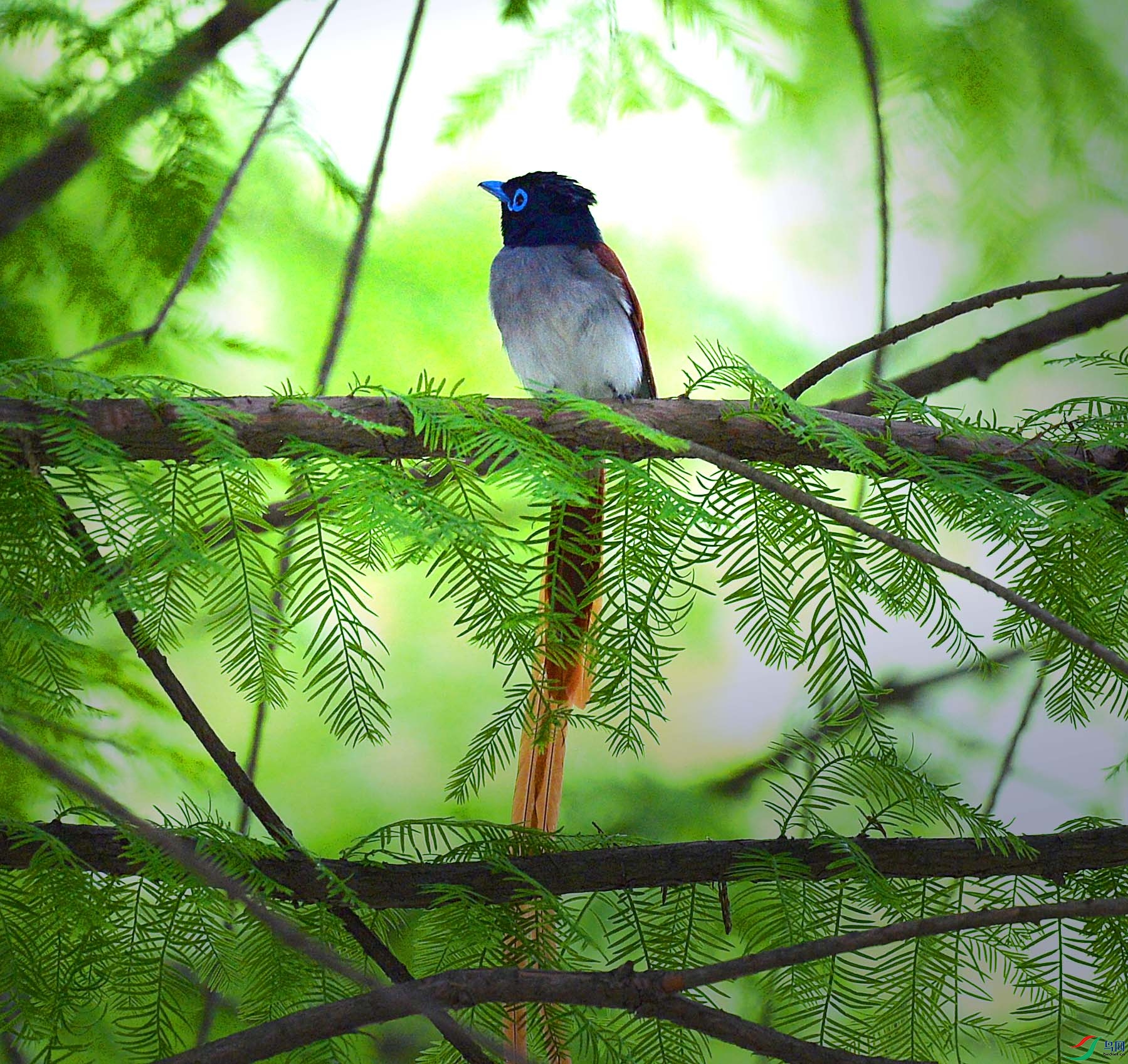 DSC_5644.jpg