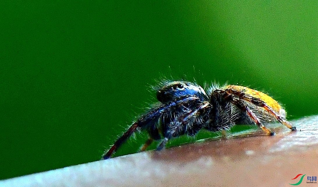 CFH_4502_����.jpg