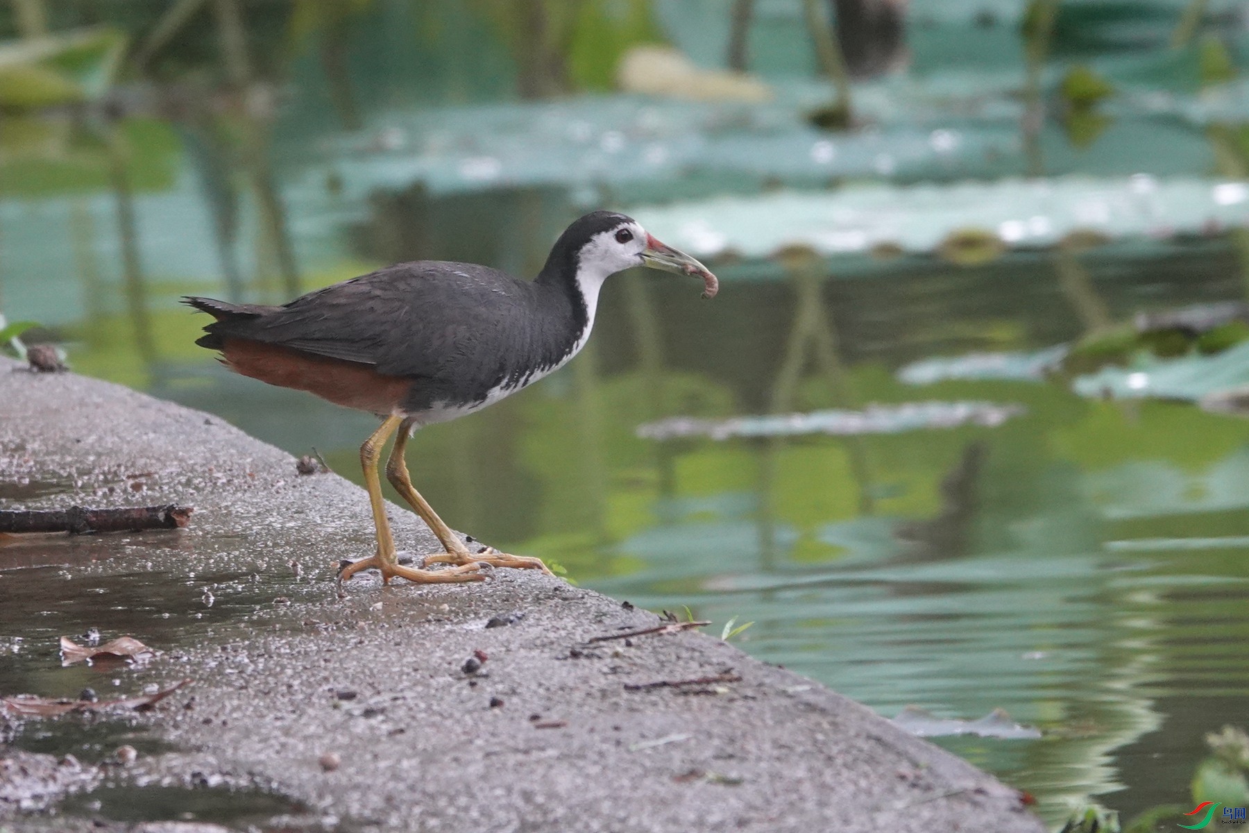 220601 (219��.jpg