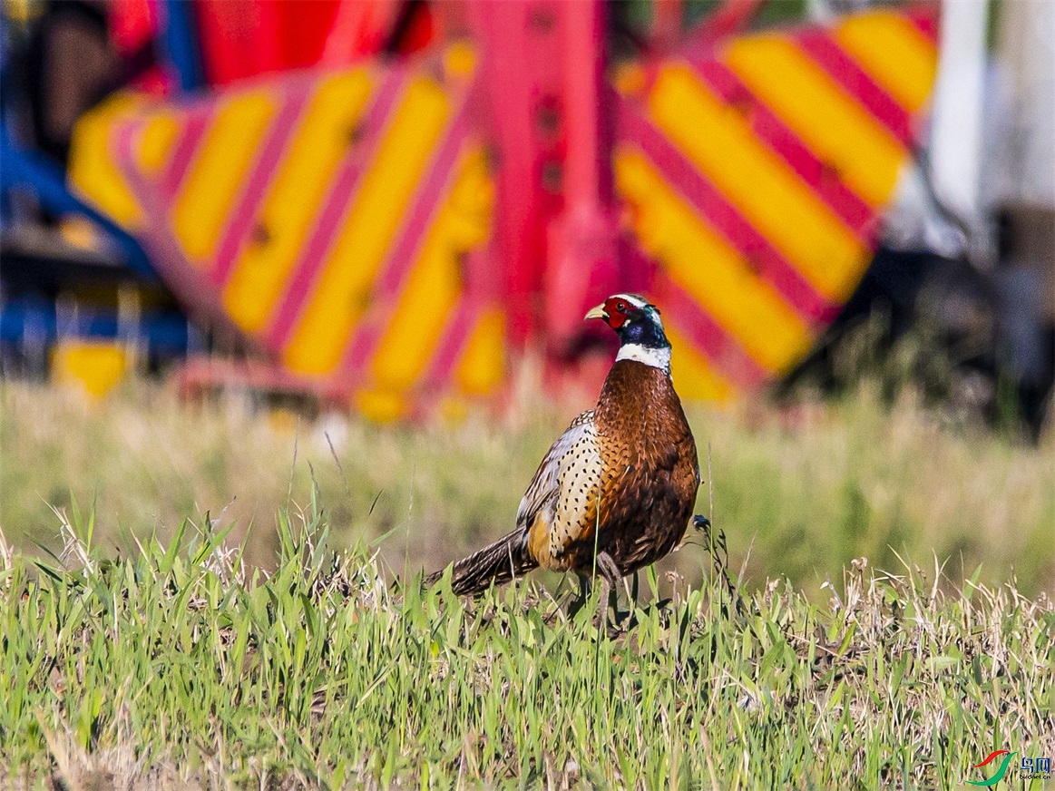 DK7T0001 ����1.jpg