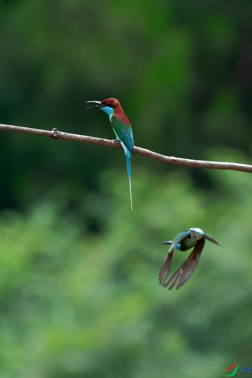 DSC_2355_DxOa.jpg