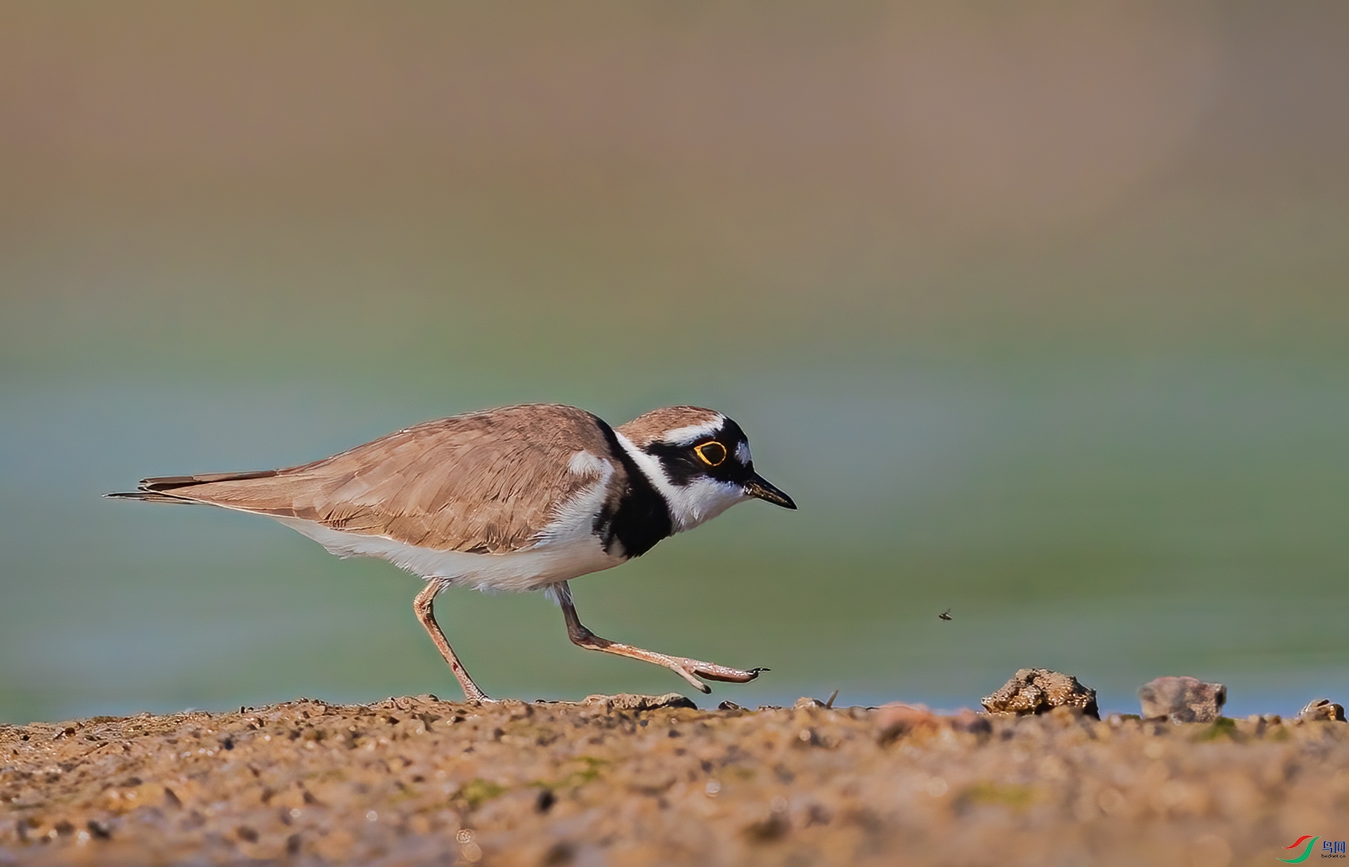 BP1I0701-�༭ ����.jpg