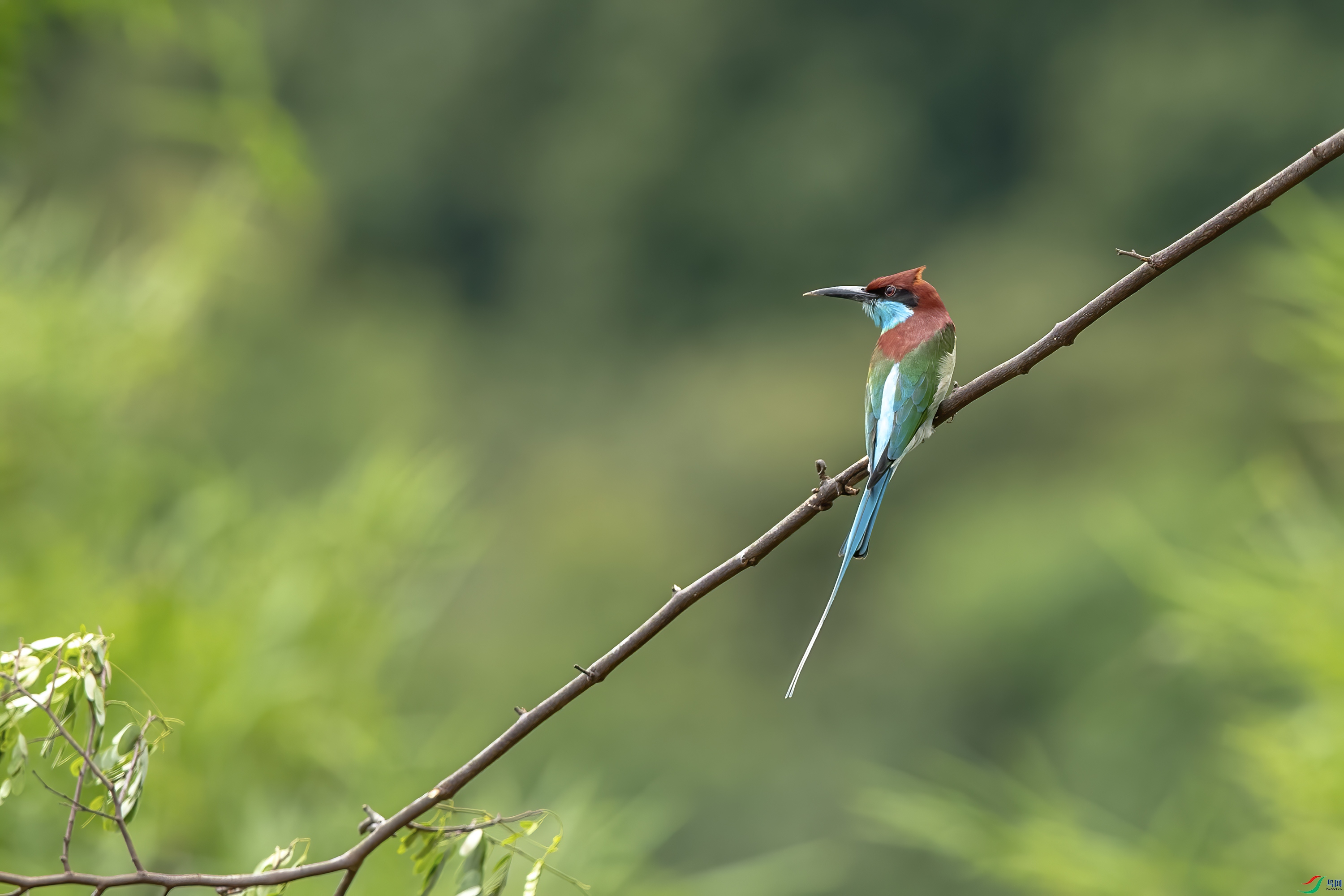 DSC_3880_1.jpg