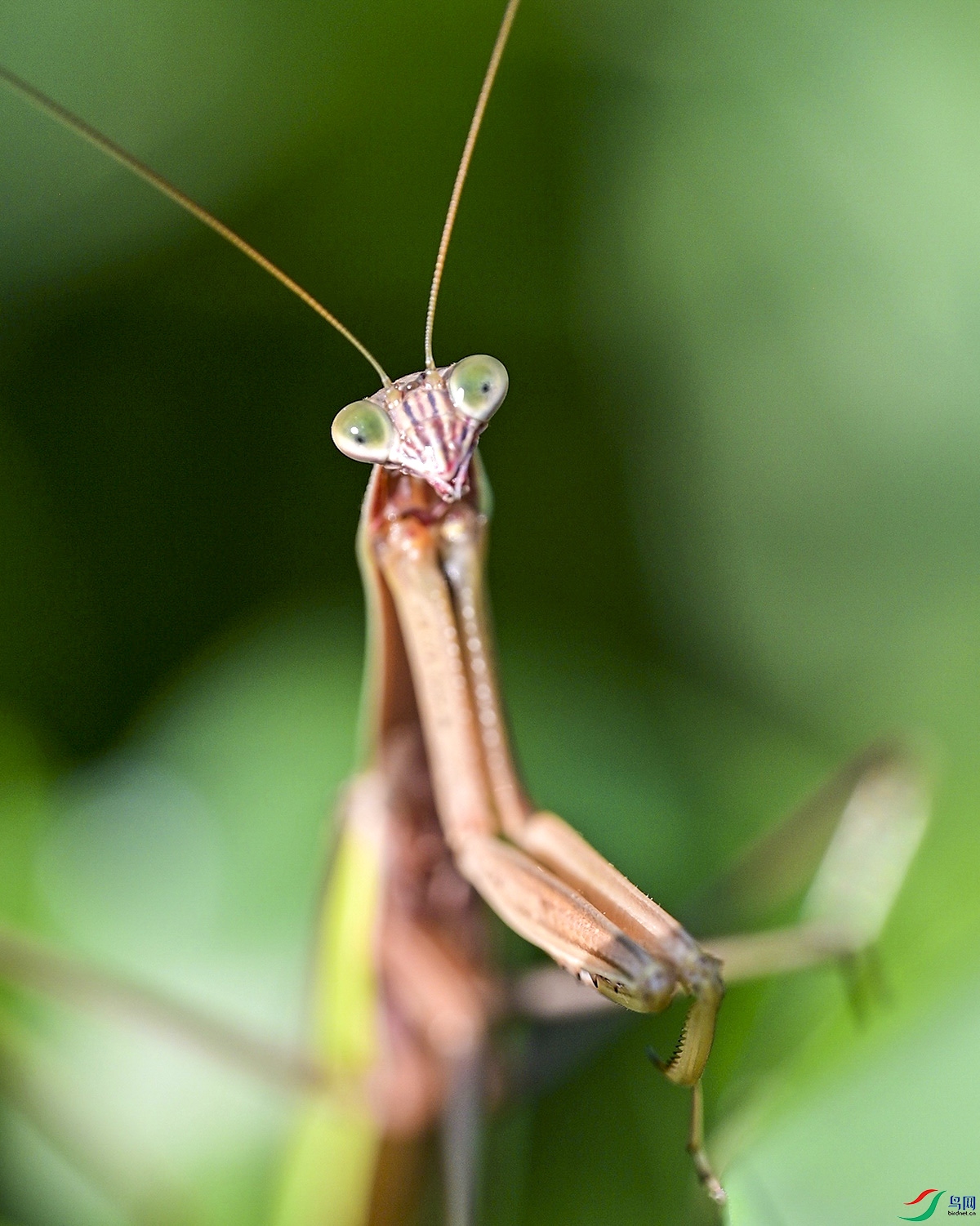 DSC_4057.jpg