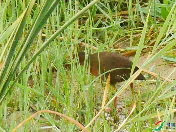 P8820103 - ����.JPG