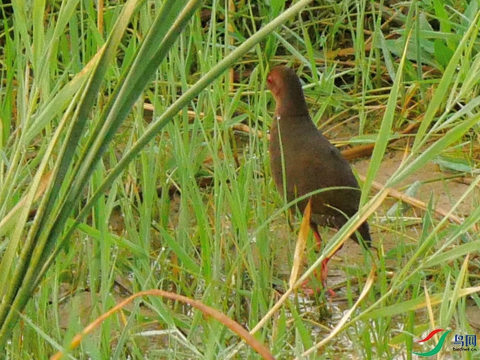 P8820122 - ����.JPG