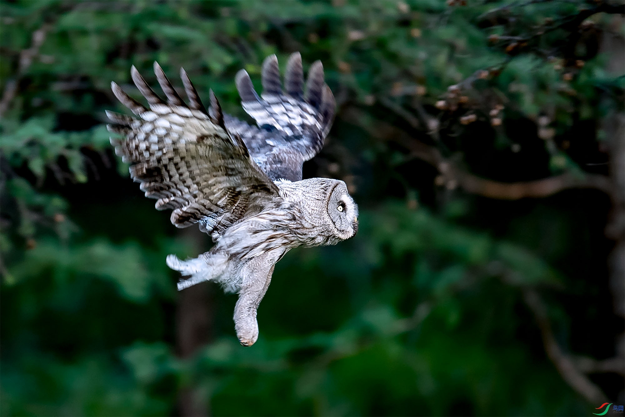 ��Ȼ���  ������  �����^  13653817008  ����֣�� (16).jpg