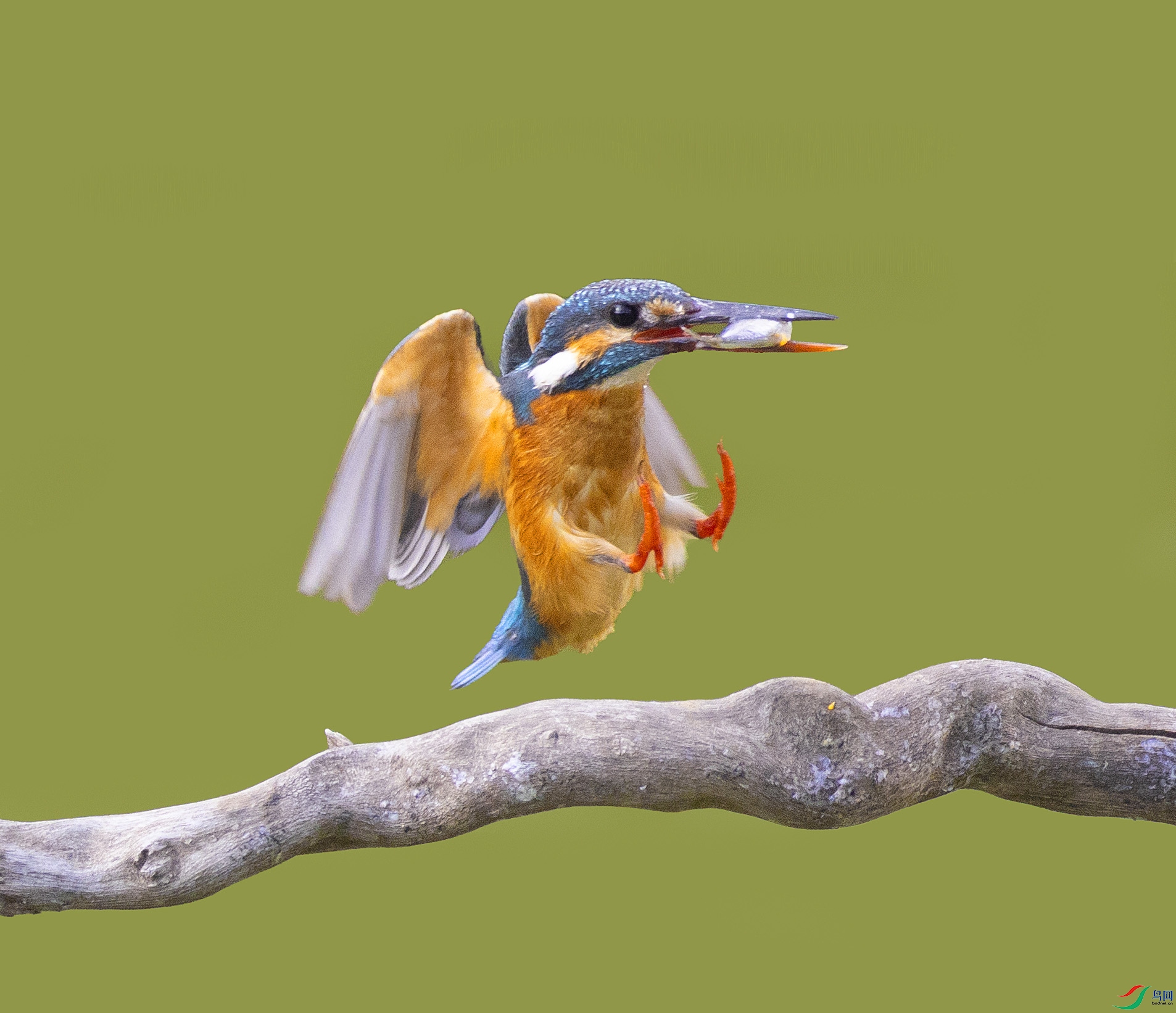 �ռ���С�� ����.jpg